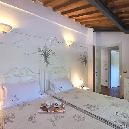 Paradiso Montevarchi