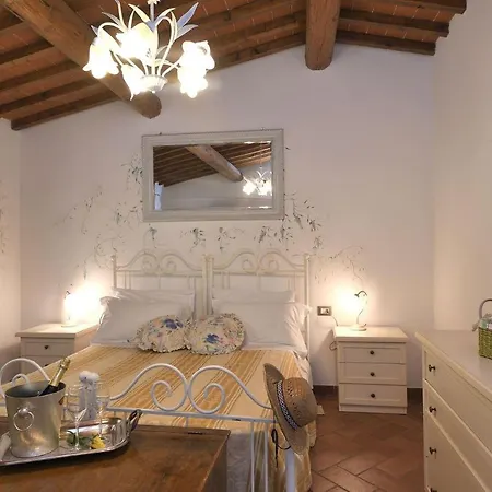 Paradiso Montevarchi