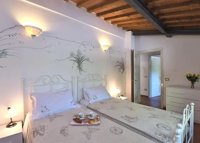 Paradiso Montevarchi