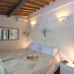 Paradiso *